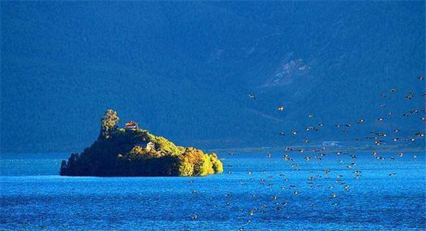 受困于孤島的產(chǎn)品，如何利用軟文營銷自救？