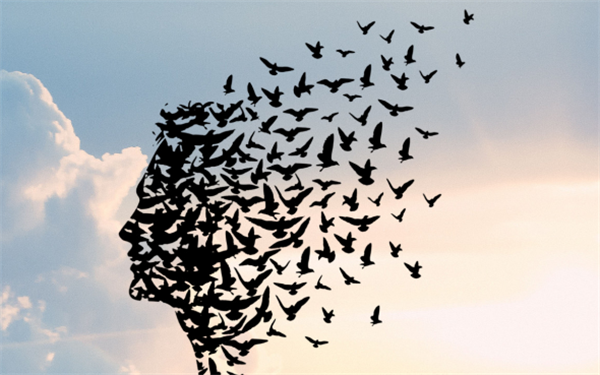 當(dāng)創(chuàng)意策劃搭上平臺(tái)，軟文推廣就水到渠成！